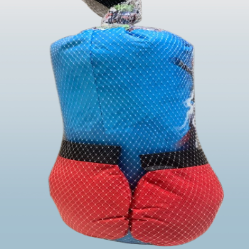 Boxing Kit