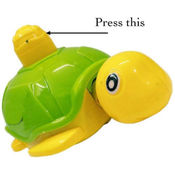 Turtle